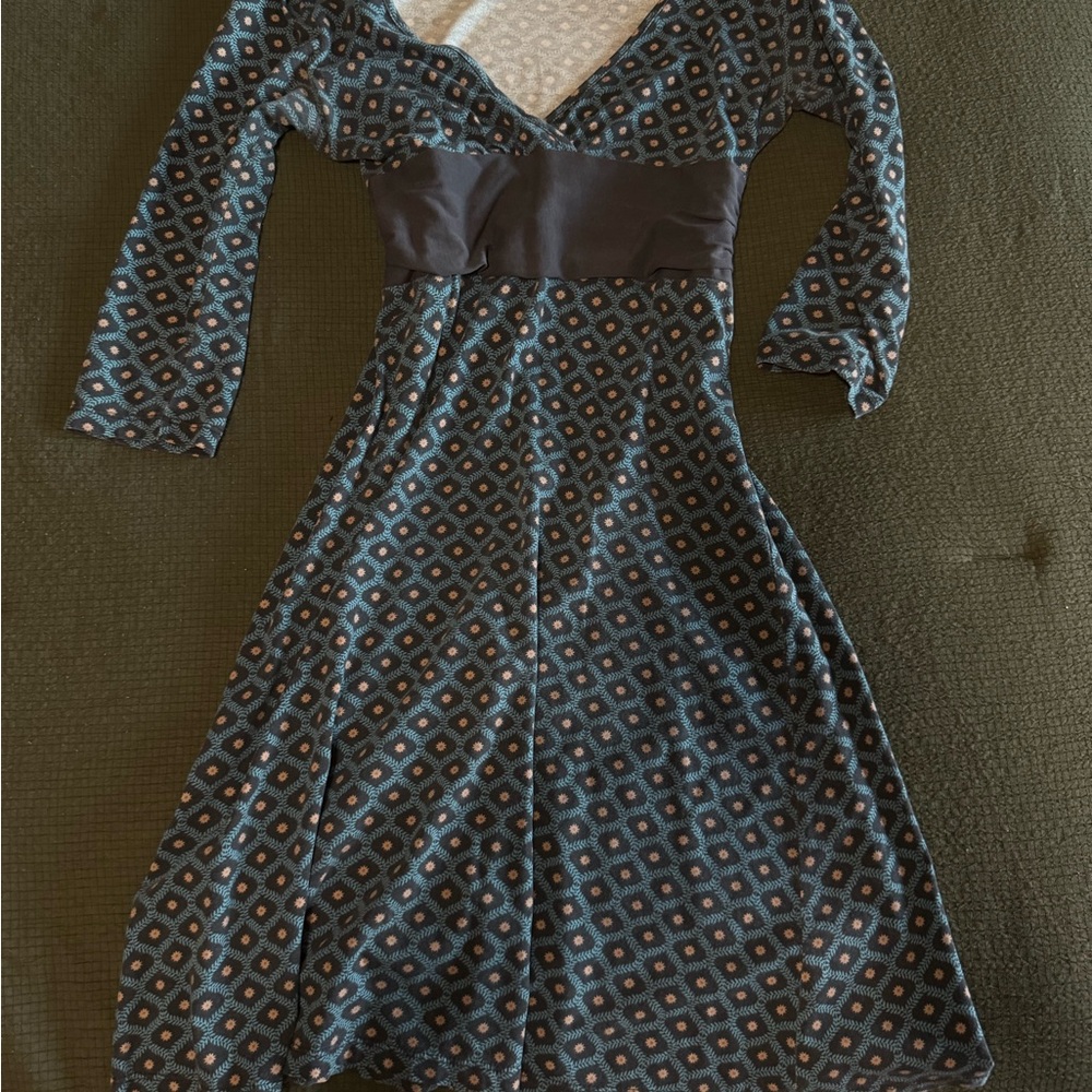 Patagonia Long Sleeve Dress in Blue and Brown